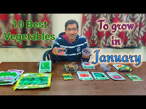 download lagu mp3 mp4 What Vegetables To Plant In January, download lagu What Vegetables To Plant In January gratis, unduh video klip What Vegetables To Plant In January