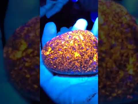 Yooperlites! Amazing Yooperlite!!!