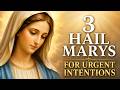 3 Hail Mary Novena For Urgent Intentions Powerful Prayer To Mother Mary
