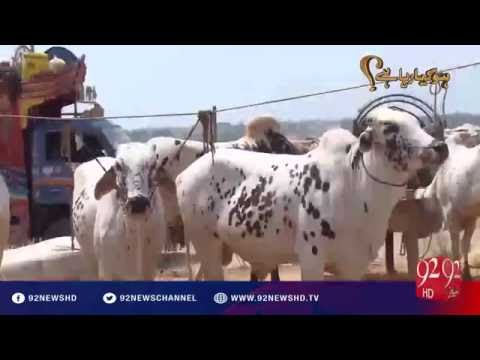 Ho Kya Raha Hai 12-09-2016 - 92NewsHD