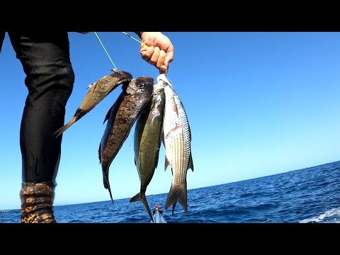Two Double Shots in one dive - Spearfishing Malta Pescasub