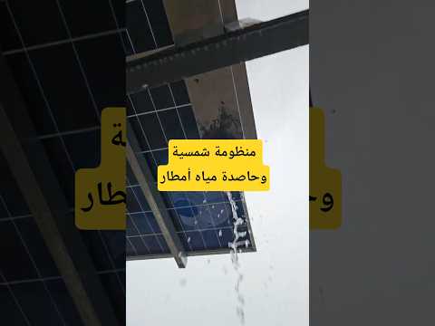 نائف الوافي