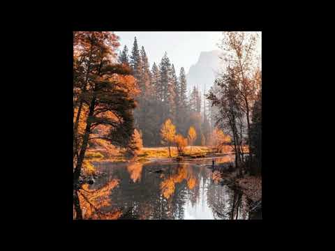 [FREE] Lujipeka x Zuukou Mayzie Type Beat - "Automne" (prod. fm_plxto)