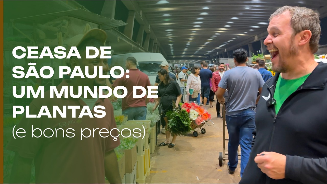 CEASA de São Paulo: um mundo de opções e preços bons.