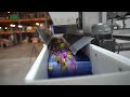 Video afspelen
