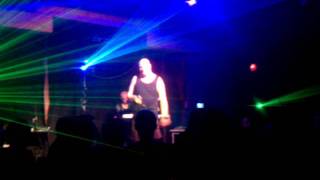 Leaether Strip - Nose Candy