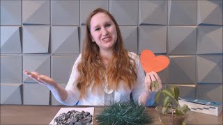 EBD FLORA KIDS - A PARÁBOLA DO SEMEADOR