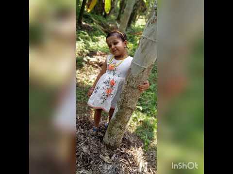 Happy Birthday Ambili. 4th birthday 🥰♥️♥️