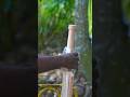 How To Make Cricket Bat Shorts Cricket Foryou