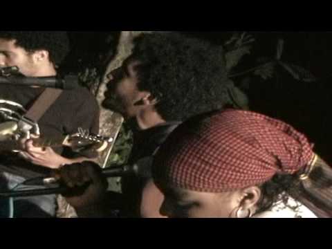 Root Underground at Treasure Beach (2003)