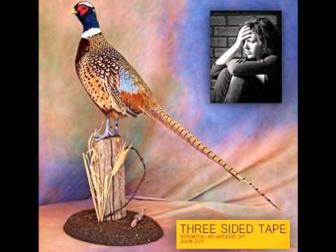 Lil Ugly Mane - Three Sided Tape Volume Two