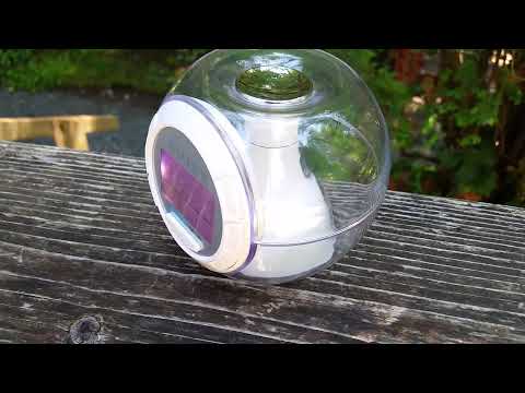 TIMEX Indiglo Alarm Clock