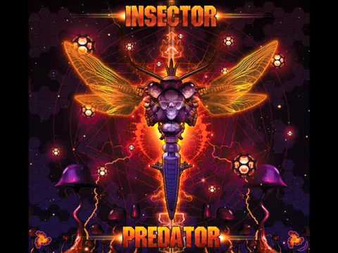 Insector - Synthetic Dreams