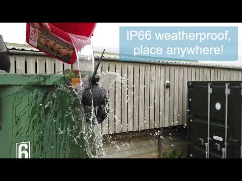 Livestock Camera - Image 2