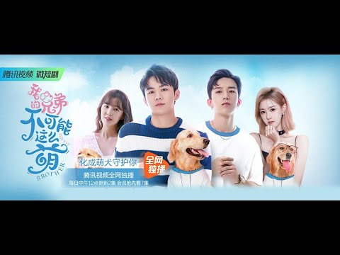 【Trailer | 预告片】Lovely Brothers |《我的兄弟不可能这么萌》: 我现在借住在芒果身体里！