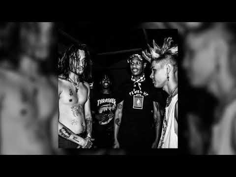 Nascar Aloe x Fonso Rex - Rugrat