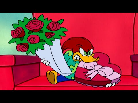 A Batalha Pelo Amor | Pica-Pau em Português