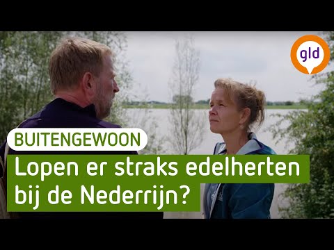 BuitenGewoon - Renkumse Poort