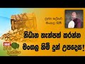 darma-dakshina-lenawa-mangala-himi-20-11-2018