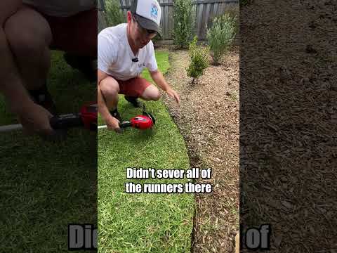 $99 Ozito Grass Trimmer kit vs Natural Curved Garden Edge.