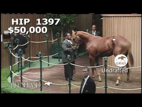 UNDRAFTED as a Keeneland September Yearling