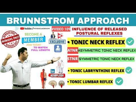 AN INTRODUCTION TO BRUNNSTROM APPROACH MOVEMENT THERAPY IN HEMIPLEGIA