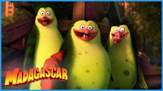 Penguins Turning Into Monsters!? 👹 | DreamWorks Madagascar