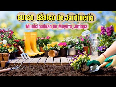Curso básico  de Jardinería de la Municipalidad de Moyuta, Jutiapa 