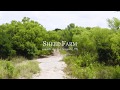 Scheel Farm | Schertz, Texas