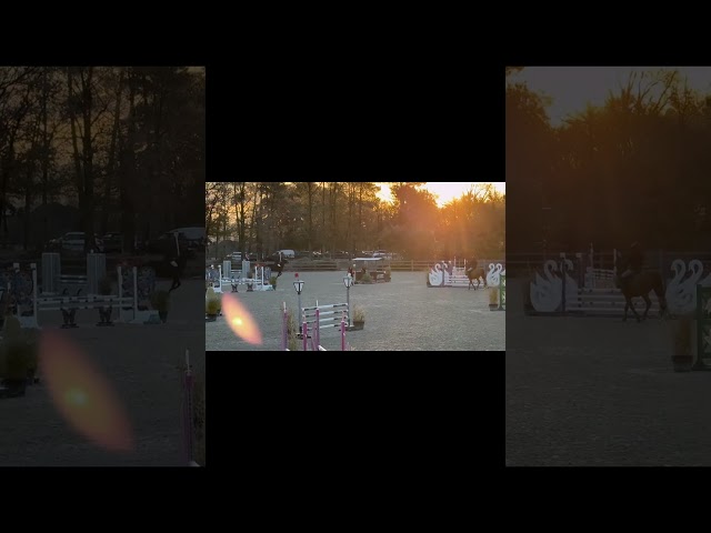 Le rouge et noir  (contacter moi par message svp)