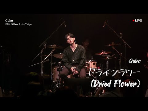 [LIVE] 가호(Gaho) - ドライフラワー(Dried Flowers) Original Song By 優里 Yuuri (Billboard Live Japan)