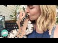 Woman Rescues Exhausted Snake Now He Can T Stop Crawling All Over Her Cuddle Buddies