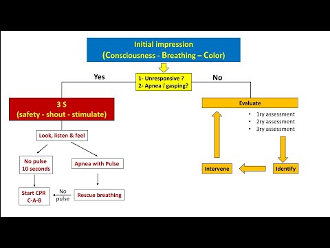 Assessment of a critically ill child