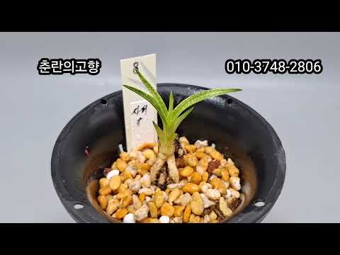 유튜브 썸네일