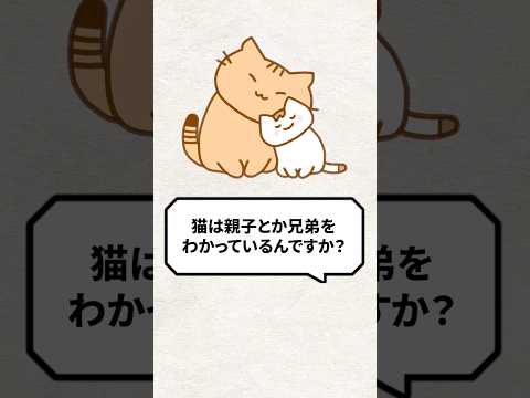 Q：猫は親子とか兄弟を分かっているの？ #猫 #猫のいる生活 #ねこ