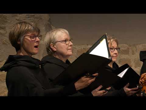 Anima Scholasticæ | Motets de Guillaume Haslé | Le Concert Lorrain Anne-Catherine Bucher