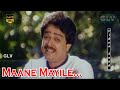 Maane Mayile Song Pondatti Pondattithan Movie S Ve Shekher Kadambari K J Yesudas Hits HD