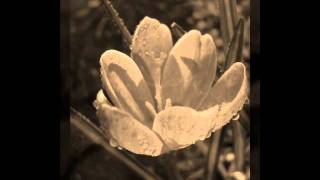 Allen Toussaint - With You In Mind