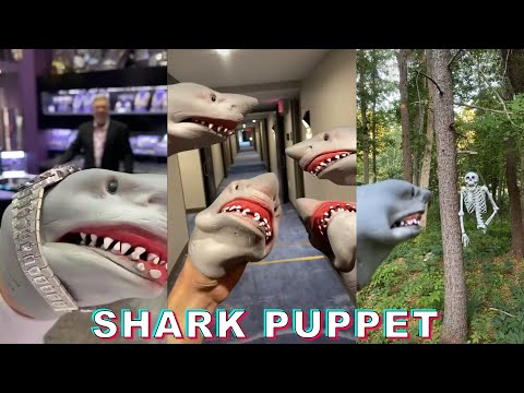 *ALL VIDEOS* of  SHARK PUPPET TikTok Compilation 2022 #2  Funny Shark Puppet TikToks