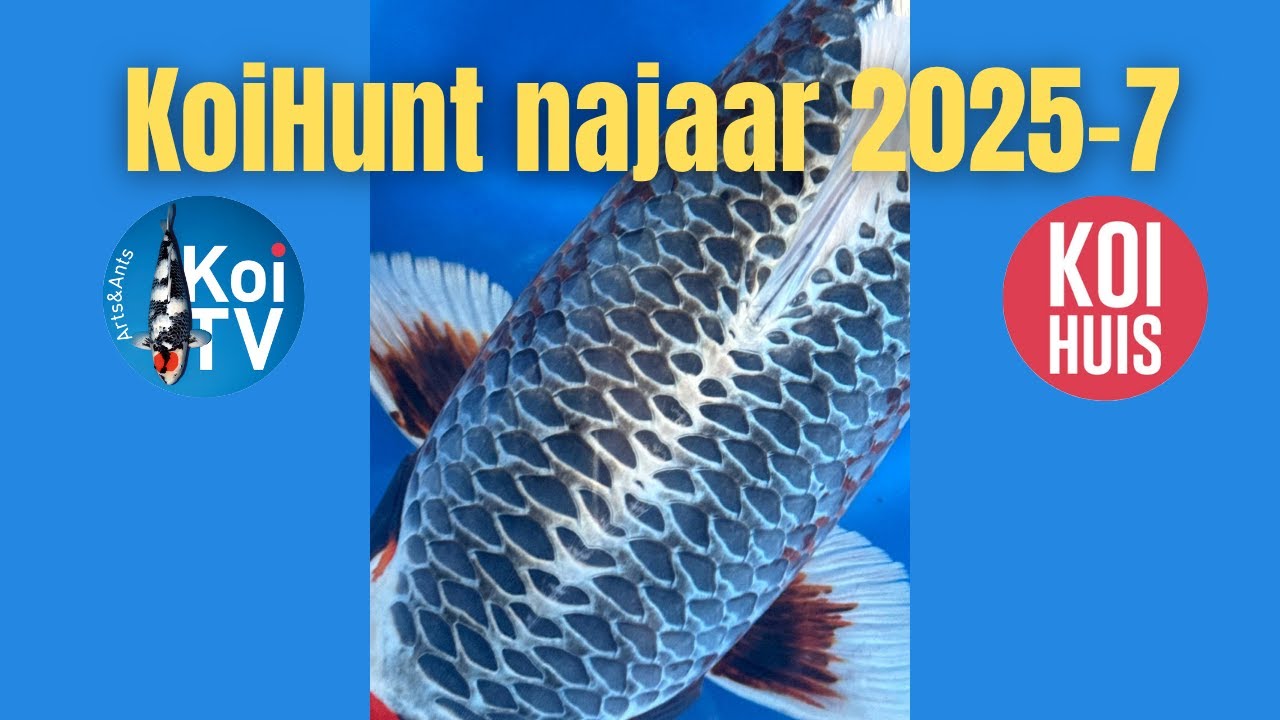 KoiHunt najaar 2025 deel 7