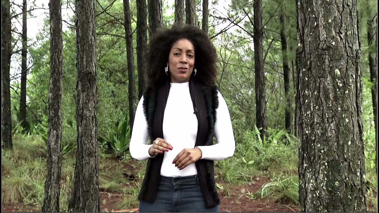 Nação | TVE – Massacre de Porongos -  07/10/2015