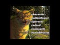 Animal cannibal - Tigerstar & Goldenflower