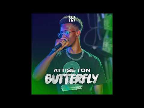 DJ ZERFLY - ATTISE TON BUTTERFLY VOL.2 (AFRO, AMAPIANO, DANCEHALL, BOUYON, TRAP)