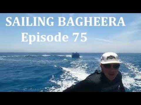 Having fun at Irene Reef, then traveling to Lizard Island #GreatBarrierReef