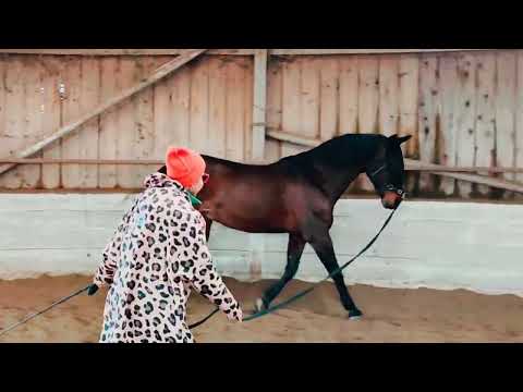 Bodenarbeit 2023 Advent Special