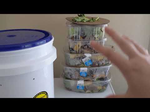 Pre Compost Experiment Attempt #1 – Extra Food Scraps for Worm Farm