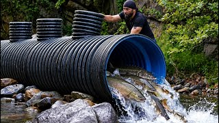 Download lagu The 3 Most Effective Fishing Techniques in the World mp3
