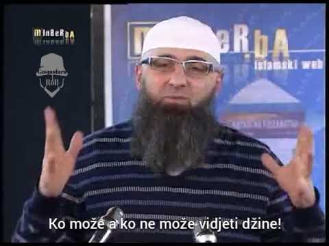 Ko može a ko ne može vidjeti džine!