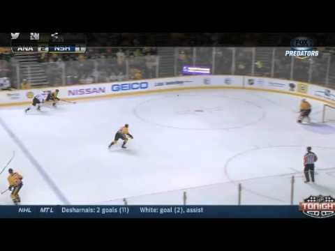Big Hit - Anaheim Ducks v Nashville - February 8 2014