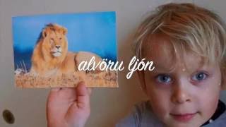 Hvers konar ljóni heyrirðu í?